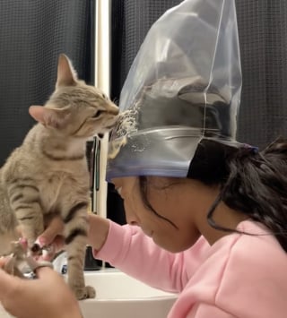 Illustration de l'article : L'astuce d'une propriétaire déposant de la friandise sur son front pour réussir à couper les griffes de son chat