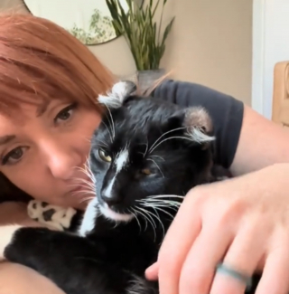 Illustration de l'article : Pour accepter de rentrer &agrave; la maison ce chat tuxedo oblige sa ma&icirc;tresse &agrave; jouer &agrave; un deux trois soleil (vid&eacute;o)