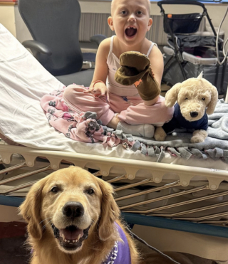 Illustration de l'article : Avant sa lourde op&eacute;ration cette petite fille atteinte de leuc&eacute;mie retrouve le sourire gr&acirc;ce &agrave; 2 Golden Retrievers de th&eacute;rapie (vid&eacute;o)
