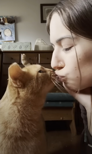 Illustration de l'article : Cette chatte sauv&eacute;e de l'errance r&eacute;v&egrave;le une passion pour les verres d'eau, qu'elle pr&eacute;f&egrave;re m&ecirc;me aux friandises