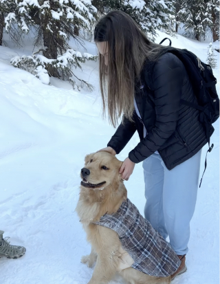 Illustration de l'article : &laquo; Trop mignon ! &raquo;, ce Golden Retriever s&rsquo;assure que chaque marcheur re&ccedil;oit de l&rsquo;attention et &eacute;gaye leur randonn&eacute;e (vid&eacute;o)