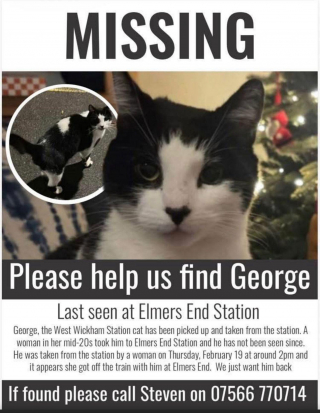 Illustration de l'article : Apr&egrave;s avoir &eacute;t&eacute; enlev&eacute; par une inconnue, le chat ador&eacute; d&rsquo;une station de m&eacute;tro est retrouv&eacute; sain et sauf au soulagement g&eacute;n&eacute;ral