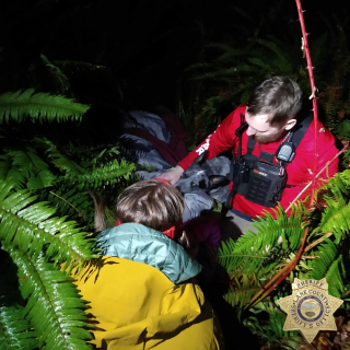 Illustration de l'article : Perdue dans les bois par une nuit glaciale, une octog&eacute;naire survit gr&acirc;ce au comportement exemplaire de son chien