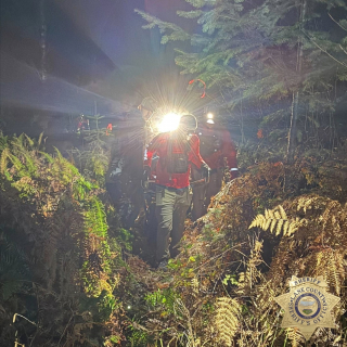 Illustration de l'article : Perdue dans les bois par une nuit glaciale, une octog&eacute;naire survit gr&acirc;ce au comportement exemplaire de son chien