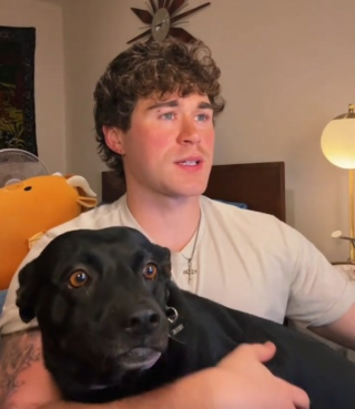 Illustration de l'article : Interdite d'avion &agrave; cause de son apparence, cette chienne passe un test ADN r&eacute;v&egrave;le une surprise qui sauve ses vacances