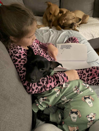 Illustration de l'article : Malade et hospitalis&eacute;e, une courageuse fillette se lance le d&eacute;fi de sauver 10 chiens avant son septi&egrave;me anniversaire (vid&eacute;o)