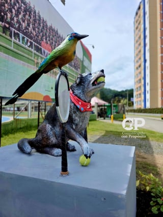 Illustration de l'article : En s&rsquo;aventurant sur un court de tennis, ce chien errant a marqu&eacute; le c&oelig;ur des habitants de toute une ville (vid&eacute;o)