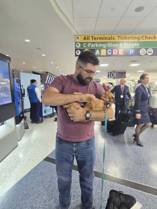 Illustration de l'article : Une famille reçoit un appel inattendu au sujet de sa chienne disparue un soir d'hiver pluvieux 5 ans plus tôt