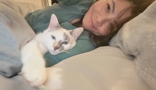 Illustration de l'article : « Elle s'est battue pour s'en sortir », un incendie ravage sa maison, mais son chat brûlé trouve la force de vivre (vidéo)