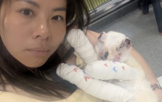 Illustration de l'article : « Elle s'est battue pour s'en sortir », un incendie ravage sa maison, mais son chat brûlé trouve la force de vivre (vidéo)