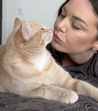 Illustration de l'article : Un couple endeuill&eacute; accueille provisoirement une chatte dans le besoin, mais comprend rapidement qu'il ne pourra plus jamais imaginer la vie sans elle