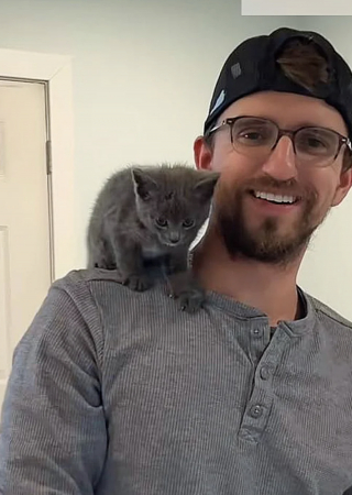 Illustration de l'article : &laquo; J&rsquo;ai su que nos vies venaient de basculer &raquo;, un chaton errant tente sa chance aupr&egrave;s d'un couple et ne regrette pas son choix