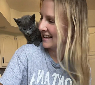 Illustration de l'article : &laquo; J&rsquo;ai su que nos vies venaient de basculer &raquo;, un chaton errant tente sa chance aupr&egrave;s d'un couple et ne regrette pas son choix