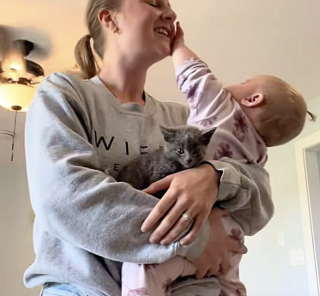 Illustration de l'article : &laquo; J&rsquo;ai su que nos vies venaient de basculer &raquo;, un chaton errant tente sa chance aupr&egrave;s d'un couple et ne regrette pas son choix