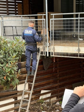 Illustration de l'article : Après avoir passé des mois sur un balcon, un Malinois sénior affamé lève les yeux à l'arrivée de policiers déterminés à le sauver