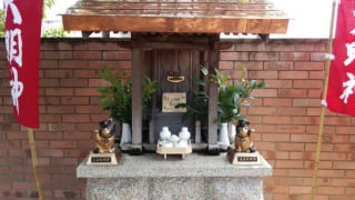 Illustration de l'article : Cette ligne de train allait fermer, des chats l'ont sauv&eacute;e de la faillite en g&eacute;n&eacute;rant des millions d'euros