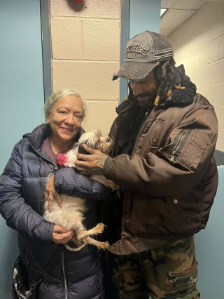 Illustration de l'article : Un appel inattendu relance l’espoir chez la famille d'une chienne qui ne donnait plus signe de vie depuis un an