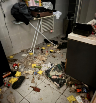 Illustration de l'article : "Ils vivaient dans des conditions particuli&egrave;rement d&eacute;plorables", 8 chiens dont une m&egrave;re et ses chiots d&eacute;nutris voient enfin le bout du tunnel