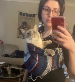 Illustration de l'article : 16 photos de chats qui prouvent que les siestes peuvent se faire n&rsquo;importe o&ugrave; 