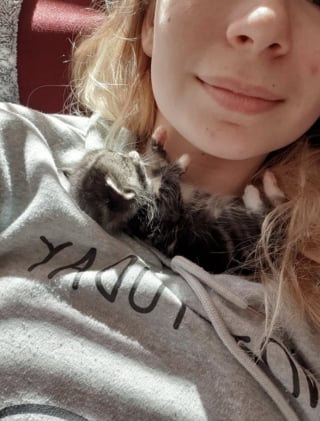 Illustration de l'article : 16 photos de chats qui prouvent que les siestes peuvent se faire n&rsquo;importe o&ugrave; 