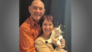 Illustration de l'article : "Comment a-t-il fait ?", disparu pendant 5 mois, un chat parcourt 250 kilom&egrave;tres pour retrouver sa famille