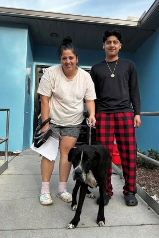 Illustration de l'article : D'abord sceptique en apprenant le sauvetage de son chien disparu 5 ans plus t&ocirc;t, elle est submerg&eacute;e par l'&eacute;motion lors des retrouvailles