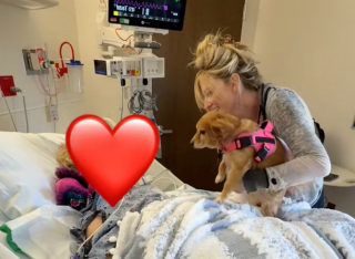 Illustration de l'article : Apr&egrave;s des adieux d&eacute;chirants &agrave; sa ma&icirc;tresse ador&eacute;e, une petite chienne de sauvetage retrouve go&ucirc;t &agrave; la vie aupr&egrave;s de sa fille (vid&eacute;o)