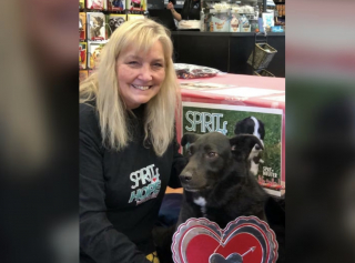 Illustration de l'article : Apr&egrave;s des ann&eacute;es de combat contre le cancer, une femme d&eacute;cide de consacrer sa vie aux chiens malades et abandonn&eacute;s (vid&eacute;o)