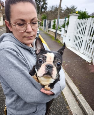 Illustration de l'article : Les chiens de cet &eacute;levage insalubre rongeaient les barreaux rouill&eacute;s de leurs cages, ils voient la lumi&egrave;re du soleil pour la premi&egrave;re fois