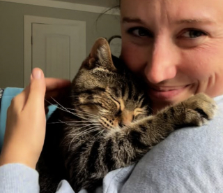 Illustration de l'article : Adopt&eacute;e sur le tard, cette chatte vit un pur moment de bonheur en d&eacute;couvrant pour la premi&egrave;re fois un oreiller (vid&eacute;o)