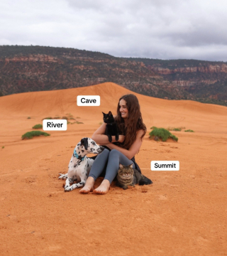 Illustration de l'article : &laquo; Digne d'un conte de f&eacute;es &raquo;, ils accueillent temporairement un chaton &agrave; adopter, mais leur chien refuse de le laisser partir (vid&eacute;o)