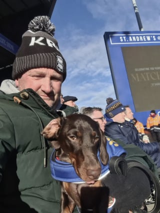 Illustration de l'article : &laquo; Les supporters l'adorent d&eacute;j&agrave; &raquo;, un homme terroris&eacute; par la foule retrouve le plaisir d&rsquo;assister aux matchs de football gr&acirc;ce au soutien de son chien