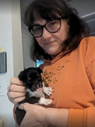 Illustration de l'article : Cherchant une chienne errante et son petit cach&eacute;s sous un abri, une b&eacute;n&eacute;vole voit le courageux chiot sortir en &eacute;claireur (vid&eacute;o)