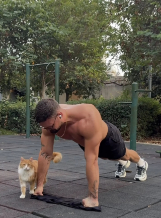 Illustration de l'article : "Je suis instantan&eacute;ment tomb&eacute; amoureux", une chatte errante s&rsquo;approche d&rsquo;un homme faisant du sport et agit comme s&rsquo;ils se connaissaient depuis toujours