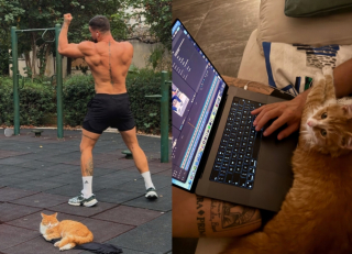 Illustration de l'article : "Je suis instantan&eacute;ment tomb&eacute; amoureux", une chatte errante s&rsquo;approche d&rsquo;un homme faisant du sport et agit comme s&rsquo;ils se connaissaient depuis toujours