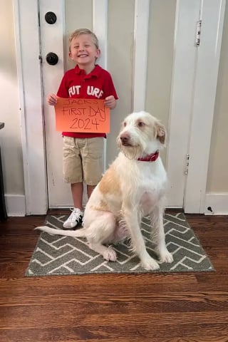 Illustration de l'article : &laquo; Alors ne pars pas. D'accord ? &raquo;, un gar&ccedil;on de 4 ans conclut un pacte adorable avec son chien pour l&rsquo;emp&ecirc;cher de s&rsquo;&eacute;chapper (vid&eacute;o)