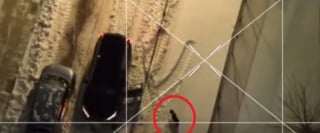 Illustration de l'article : D&eacute;sorient&eacute; par 2 jours de fugue sous une temp&ecirc;te de neige, un chien s&rsquo;enfuit &agrave; l&rsquo;approche de ses humains avant de les reconna&icirc;tre (vid&eacute;o)