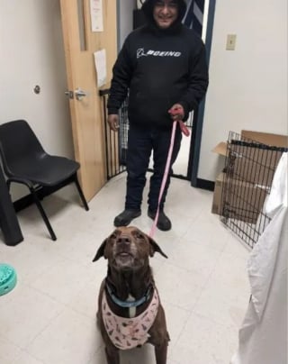 Illustration de l'article : Apprenant que sa chienne disparue 4 ans plus tard a &eacute;t&eacute; retrouv&eacute;e, il parcourt 1500 km et traverse une temp&ecirc;te de neige pour la revoir