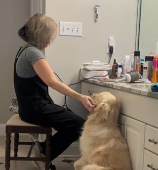 Illustration de l'article : Terrifi&eacute; par les bruits, ce chien surmonte sa peur en douceur gr&acirc;ce au geste pourtant anodin de sa ma&icirc;tresse (vid&eacute;o)