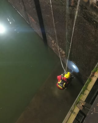 Illustration de l'article : Une course contre la montre s'engage &agrave; 3h du matin pour sauver une chienne pi&eacute;g&eacute;e dans une &eacute;cluse et qui avait disparu depuis 7 semaines