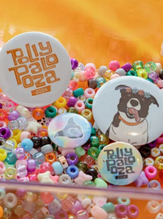 Illustration de l'article : Cette chienne attend depuis si longtemps au refuge que les b&eacute;n&eacute;voles d&eacute;cident d'organiser un festival en son honneur