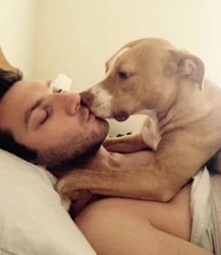 Illustration de l'article : 16 photos de chiens avec une &acirc;me de chiot qui n'ont pas conscience de leur taille 