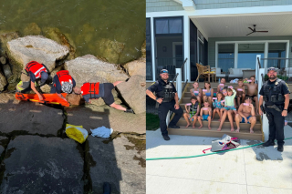 Illustration de l'article : Eject&eacute;e de la voiture lors d'un accident, une chienne est retrouv&eacute;e le lendemain par des enfants au bord d'un lac