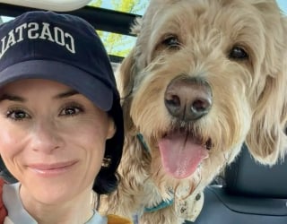 Illustration de l'article : Sentant la tristesse de sa maîtresse ce chien Goldendoodle vient la réconforter devant la photo de son ancien chien disparu (vidéo)