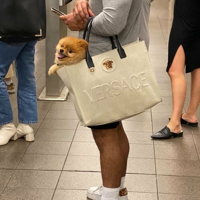 https://www.woopets.fr/assets/ckeditor/2026/jul/actualities/63279/xl/3.jpg