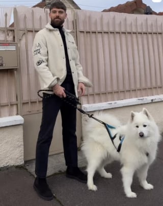Illustration de l'article : « La vraie star, c’est Bianca ! », à Troyes (10), un agent immobilier développe un concept de visites original avec sa chienne Samoyède (vidéo)