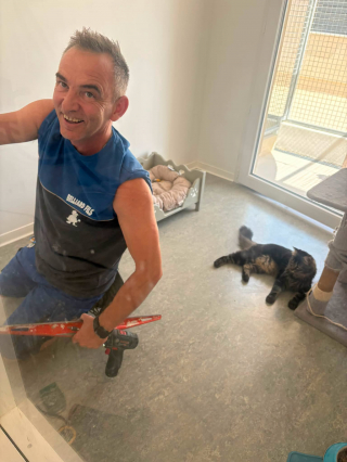 Illustration de l'article : « Merci du plus profond de notre cœur », une généreuse entreprise sauve les chats de ce refuge des Pyrénées-Orientales (66) de la chaleur