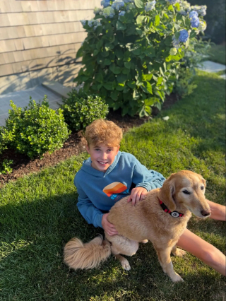 Illustration de l'article : Un chien alerte son jeune maître en grattant avec insistance à la fenêtre et permet le sauvetage d’un caneton piégé (vidéo)