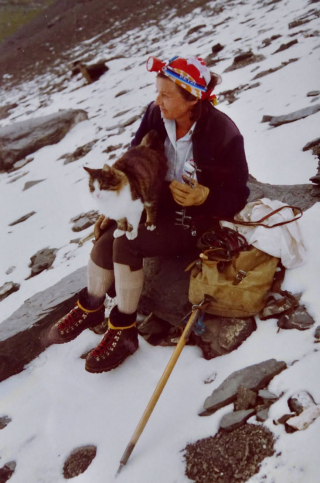 Illustration de l'article : 33 ans après la mort de ce chat qui avait gravi les sommets des Alpes suisses, sa légende ne cesse de perdurer