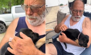 Illustration de l'article : L'&eacute;motion silencieuse d'un homme rencontrant sa nouvelle amie canine apr&egrave;s qu'un cancer a emport&eacute; son pr&eacute;c&eacute;dent chien (vid&eacute;o)